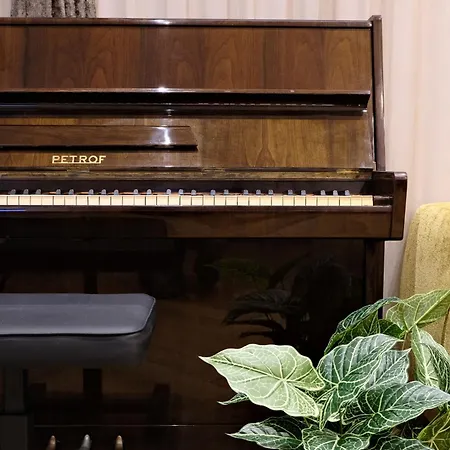 Willa The White House